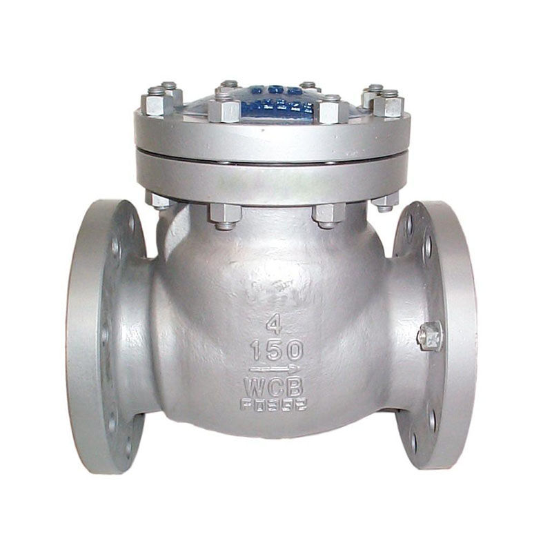 API Flange Check Valve.jpg