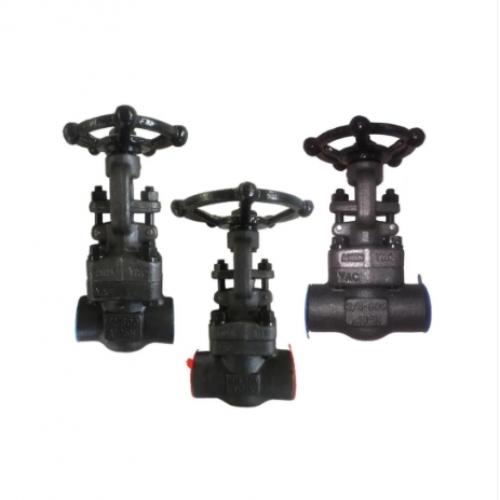 Forged Steel Gate Valve