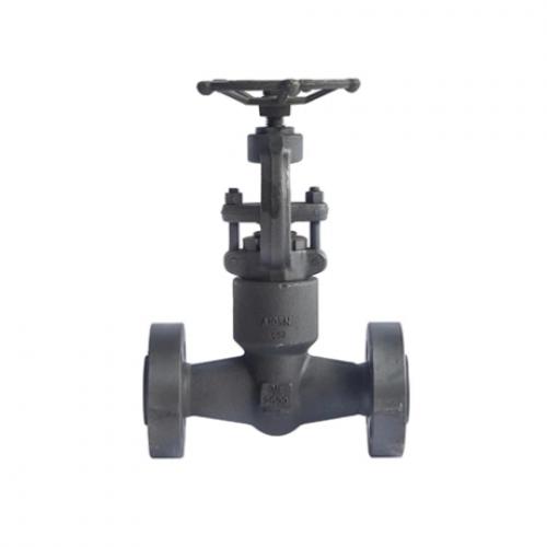 Pressure Seal Globe Valve